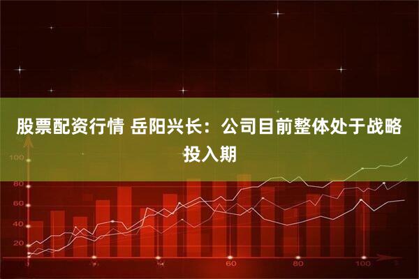 股票配资行情 岳阳兴长：公司目前整体处于战略投入期
