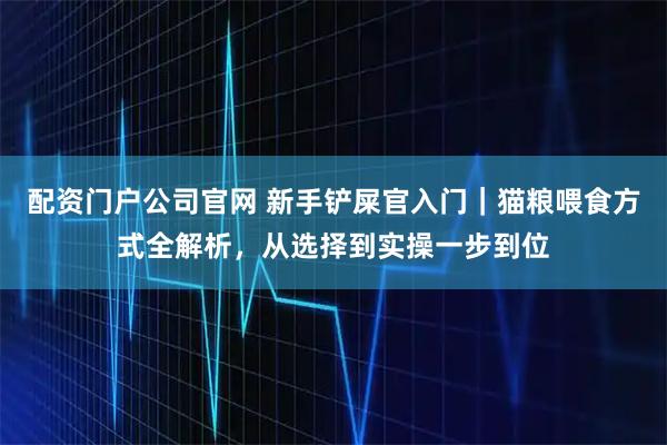 配资门户公司官网 新手铲屎官入门｜猫粮喂食方式全解析，从选择到实操一步到位